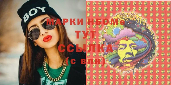 сатива Аркадак