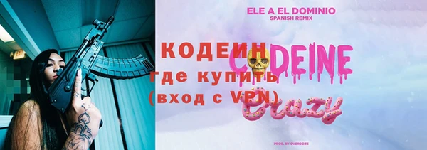 индика Баксан