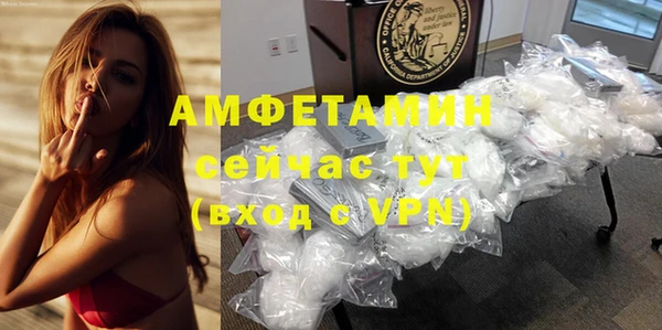 сатива Аркадак