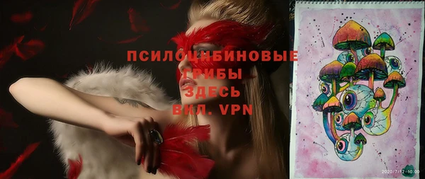 сатива Аркадак